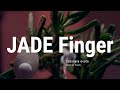 Plant music  jade finger   electronic  moog  scion 
