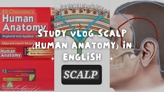 scalp english lecture/BD Chaurasia/#completeanatomy screenshot 5