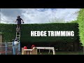 Trimming A Conifer / Leylandii Hedge
