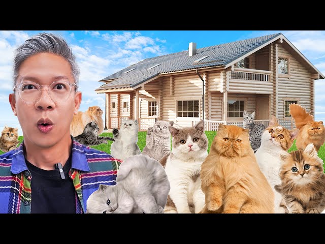 KITA PERGI KE PETERNAKAN KUCING TERBESAR DI BANDUNG!! class=