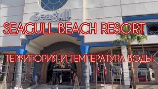 ЕГИПЕТ2023.ДЕКАБРЬ.ХУРГАДА. ОТЕЛЬ SEAGULL BEACH RESORT. ОБЗОР ТЕРРИТОРИИ,ТЕМПЕРАТУРА ВОДЫ В МОРЕ