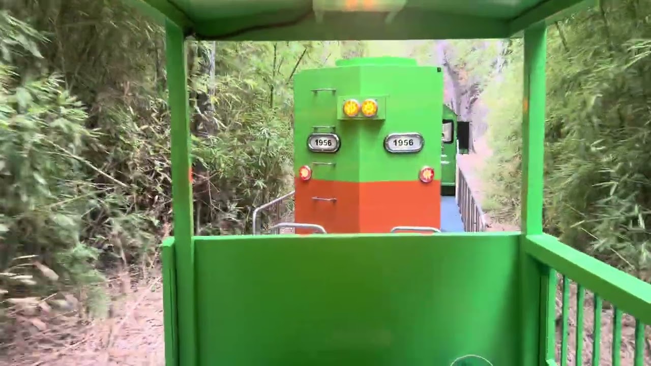 Brackenridge train ride with my niece.