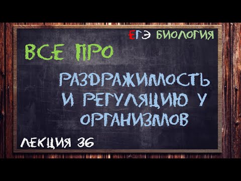 Л.38 | РАЗДРАЖИМОСТЬ И РЕГУЛЯЦИЯ У ОРГАНИЗМОВ | ОБЩАЯ БИОЛОГИЯ ЕГЭ