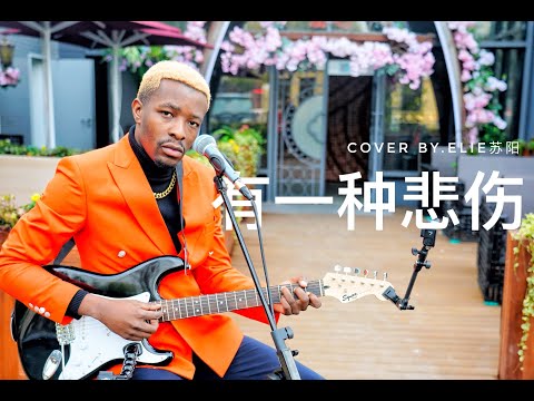 有一種悲傷（Soul版）【比悲傷更悲傷的故事】Elie苏阳