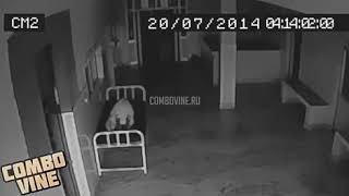 Combo vine