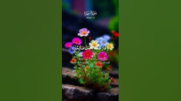 سورة السجدة ❤️❤️ #اكسبلور #القزابري #الرحمن #duet #المصحف #دويتو #لايك #راحة_نفسية #تيك_توك