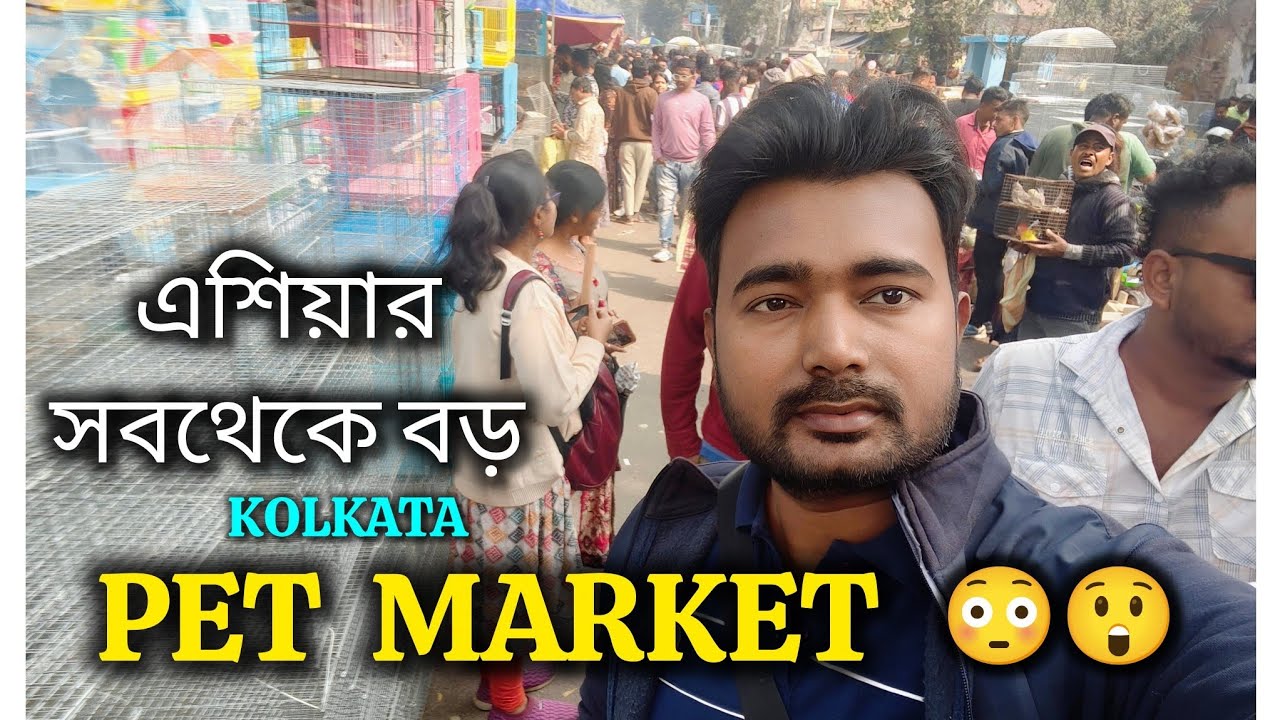 এশিয়ার সবথেকে বড় Pet Market 🐶🐕 | Kolkata Pet Market | Gallif Street Market 