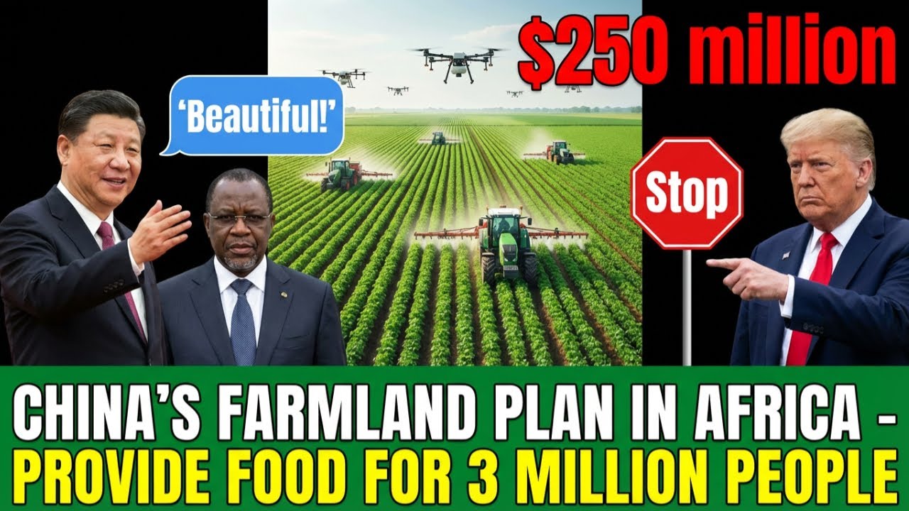 China's $250M African Farm Project Has Global Grain Giants Panicking – Here's Why