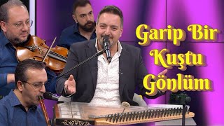 Turgay Coşkun - Garip Bir Kuştu Gönlüm - 2024