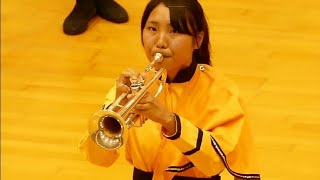 Japanese marching Band is absolutely incredible ☺