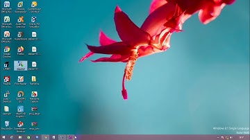 2. Membuat Domain dengan EHCP dan Instalasi CMS Wordpress