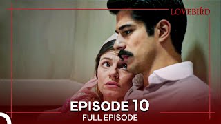 Lovebird Episode 10