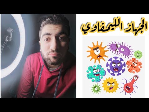 النقل في الإنسان ٨ الجهاز الليمفاوي أحياء تانية ثانوي