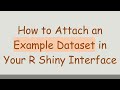 How to Attach an Example Dataset in Your R Shiny Interface