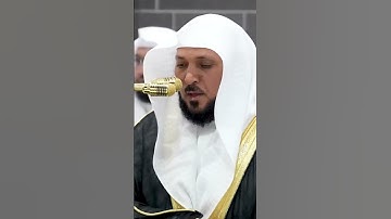 سورة إبراهيم | الشيخ #ماهر_المعيقلي