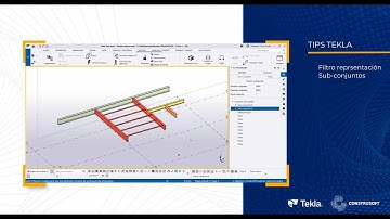 Filtro de representación y CS Visualizador en Tekla Structures