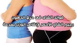 فوائد الشاى فى حرق الدهون - رجيم الشاي الأحمر لإنقاص الوزن بسرعة