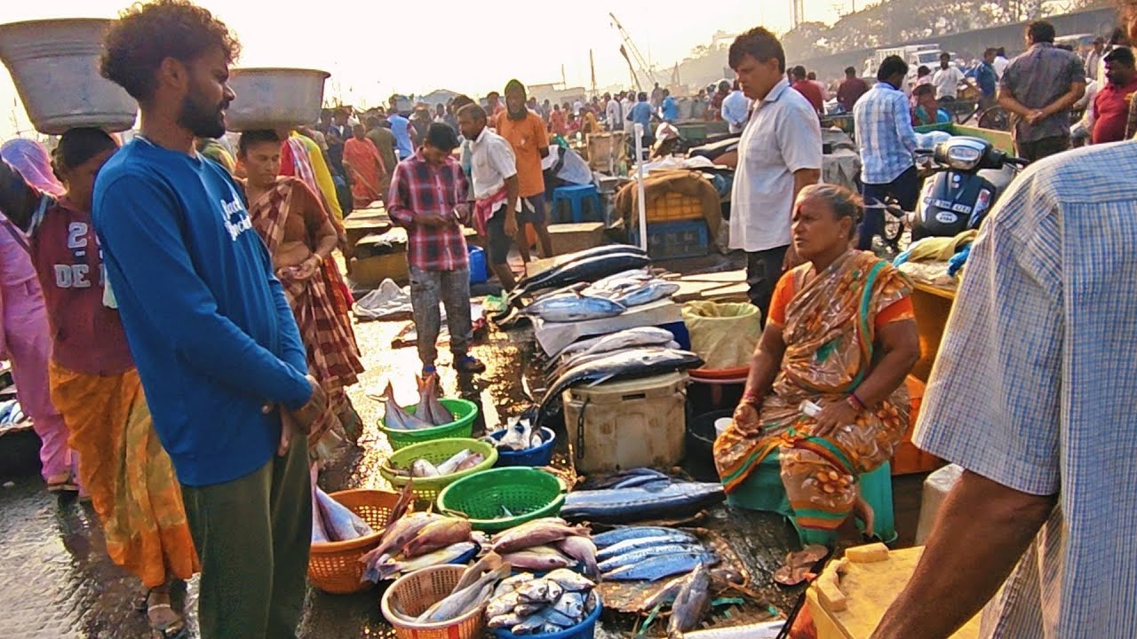 Vizag fishing harbour saturday morning live market 14/02/2026