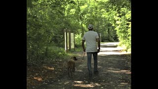 Sei fair! - und beachte die Leinenpflicht im Nationalpark Donau-Auen