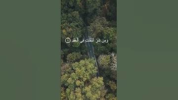 سورة #الفلق  #الشاطري  #القرآن_الكريم #راحة_نفسية #تلاوة_عطرة #الرقية_الشرعية