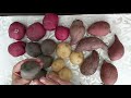 Are you growing Potatoes &amp; Sweet Potatoes?