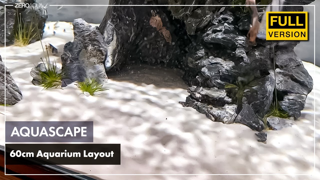 立ち上げから完成まで /aquarium/aquascape/60cm/vlog/