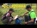 Тренировка в Белавино КАРП