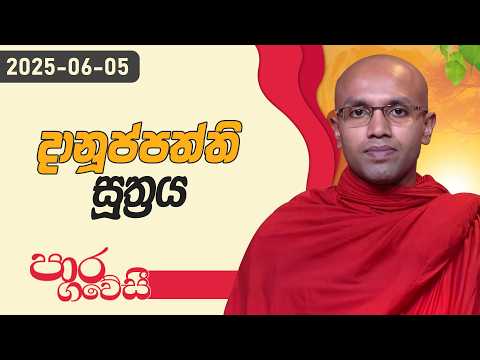 දානුප්පති සූත්‍රය | පාර ගවේසී දේශනා මාලාව | 2025.06.05