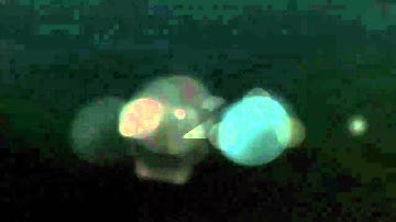 Need For Speed Undercover - intro du jeu