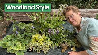 Download Lagu Create a Woodland Garden Effect with 10 Shade Loving Perennials MP3 Download Lagu Create a Woodland Garden Effect with 10 Shade Loving Perennials MP3
