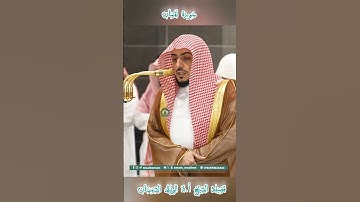 تلاوة خاشعة 🕊 سورة  لقمان 🕊  #للشيخ .د #الوليد_الشمسان