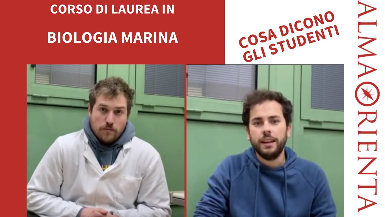 Laurea Magistrale in Biologia marina - Cosa dicono gli studenti - YouTube