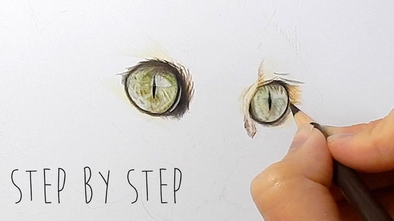 Step by Step | How to draw, color realistic cat eyes with colored