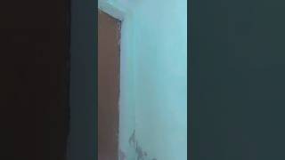 Is deewane ladke ko koi samjhaye😁🥰/Mona Agarwal#shortsvibes#shortsvideo #viralvideo#reels#greattimes