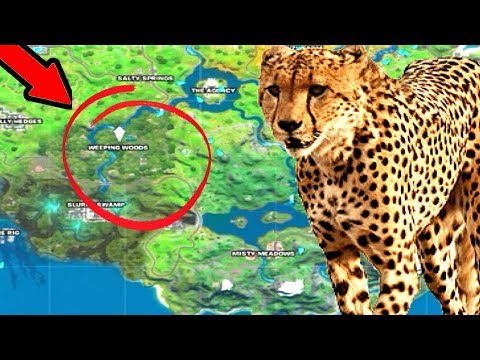 Cheetah Found In Fortnite Battle Royale Chapter 2 Youtube