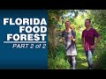 Step into the enchanting world of the food forest