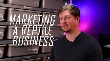 Reptile Business Marketing Tips | Inbound Marketing | Ball Python Breeding