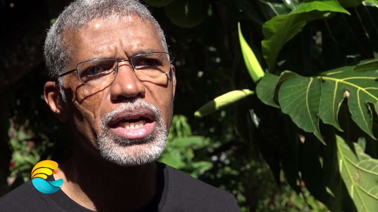 Portrait : Fred MALICIEUX