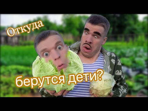 Малой узнал откуда берутся дети😳