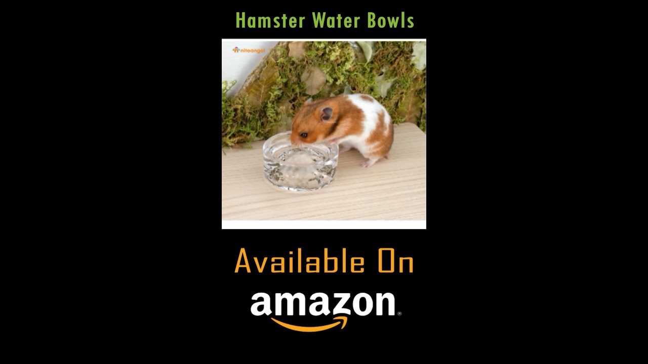 Feeding & Water Bowls - Animal Drinking Bowls - Dwarf Syrian Hamsters Gerbils Water Bowls - 