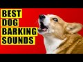 Dogs Barking Sounds Compilation (See How Your Dog REACTS). 15 Breeds Loud Dog Barking Sound Effect.