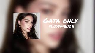 Gata only( dscvr remix)-floyymenor (sped up)