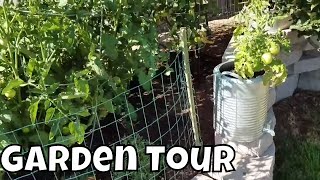 Garden Update
