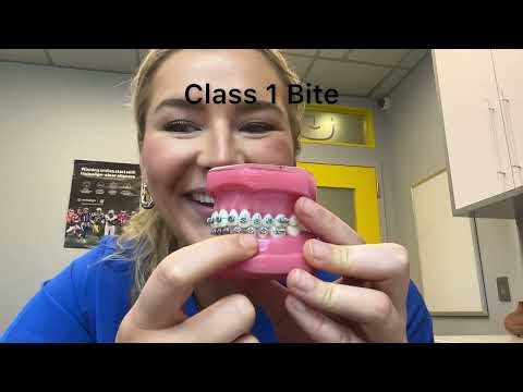 3 Different types of Bites