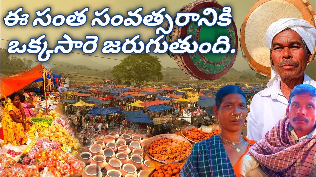G madugulu Tharumaru Santha || G.madugula Tribal market || once a year market || traditional market