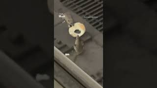 Rats Fight Over Bagel At Nyc Subway