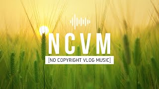 [No Copyright Vlog Music] Korean Drama OST - Cheeze - The Day We Met (Encounter OST)