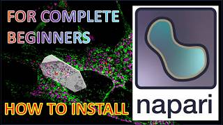 How to install Napari plugins  An open source solution for CLEM image analysis