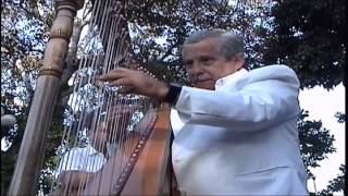 ALBERTO DE LA ROSA ARPISTA JAROCHO