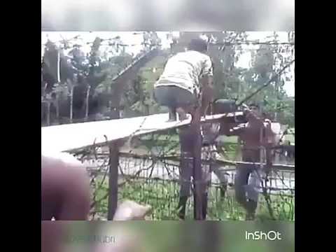 Bangladeshi crossing over to India. India Bangladesh border